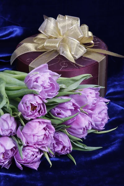 Gåva. ljus lila tulpaner purple box — Stockfoto
