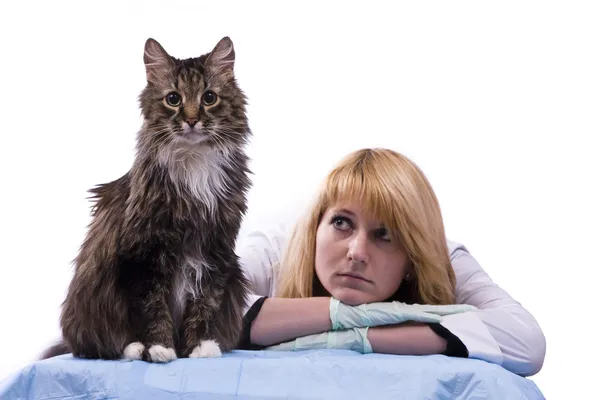 Veterinaria siente tristeza y buscar gato sin hogar — Foto de Stock