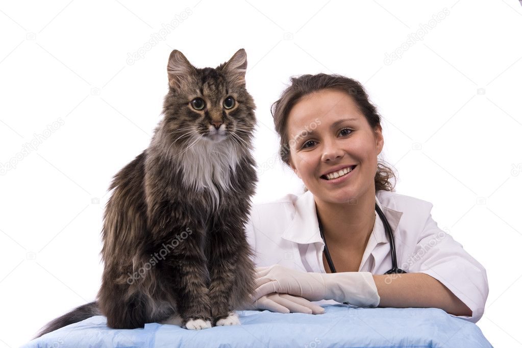 Veterinarian and pussy cat