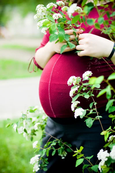 Anonymous pregnant woman — Stock Photo, Image