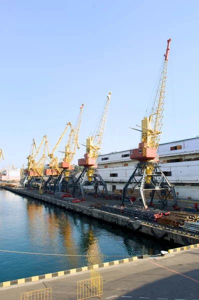 Cranes in the port — Stock Photo, Image