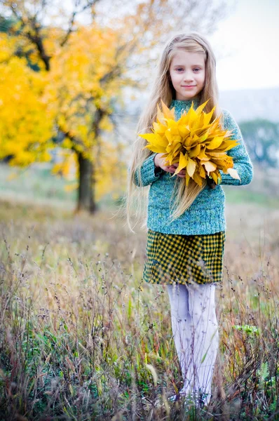 Κοριτσάκι με το φθινόπωρο τα φύλλα — Φωτογραφία Αρχείου