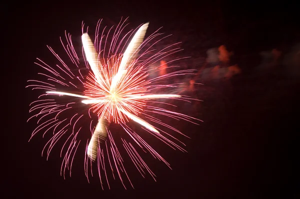 Colorful firework — Stock Photo, Image