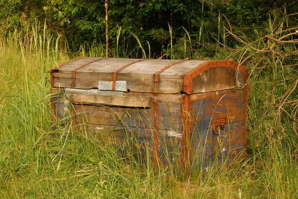 stock image Chest