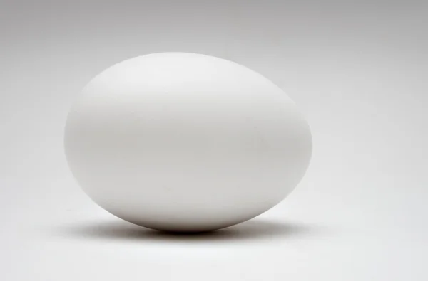 stock image Egg