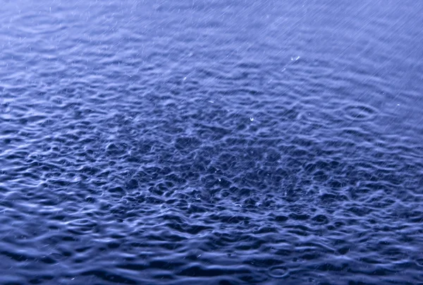 Дождь — стоковое фото
