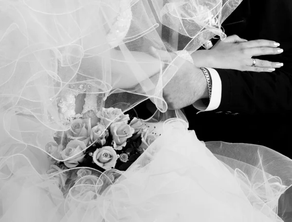 Elleri yeni evliler — Stok fotoğraf