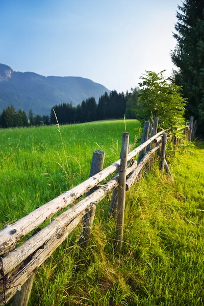 Alpen traditionele landschap — Stockfoto