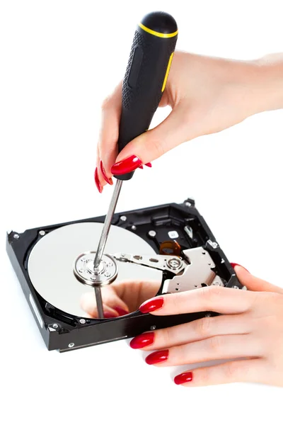 Женщина чинит жесткий диск компьютера — стоковое фото