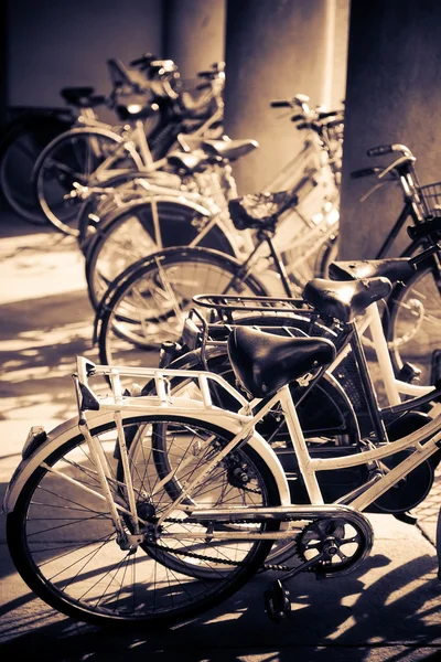 Lotes de bicicletas — Fotografia de Stock