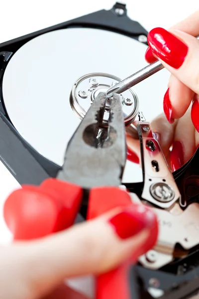 Жінка ремонтує комп'ютер HDD — стокове фото