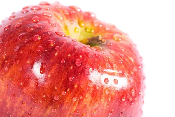 Red apple with water drops — Stock Photo, Image