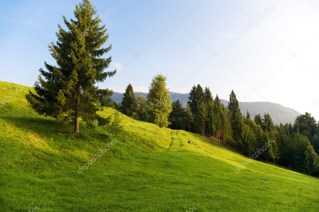 Alps morning landscape