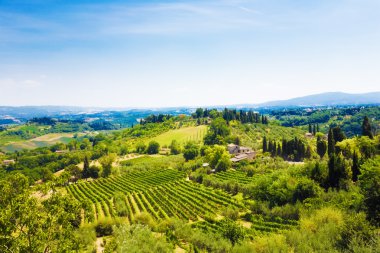 geleneksel toscana İtalya peyzaj