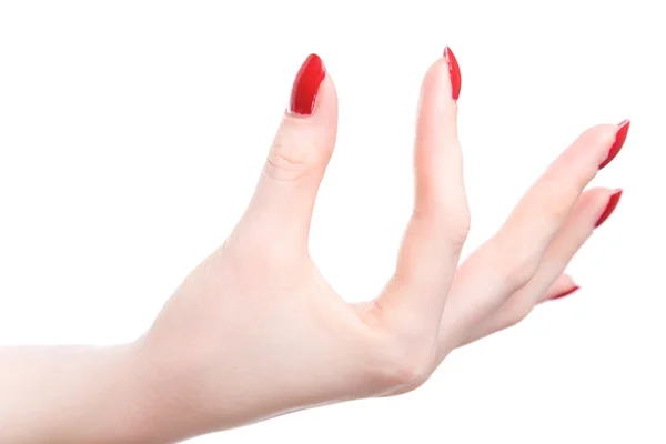 Элегантная рука женщины — стоковое фото