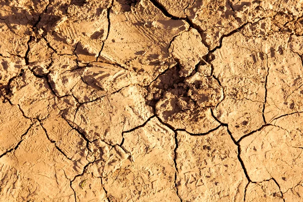 Cracks su una terra — Foto Stock