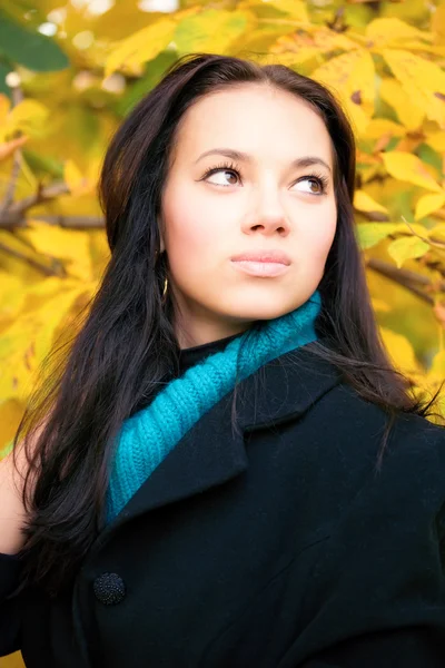 Mladá bruneta žena podzim portrét — Stock fotografie