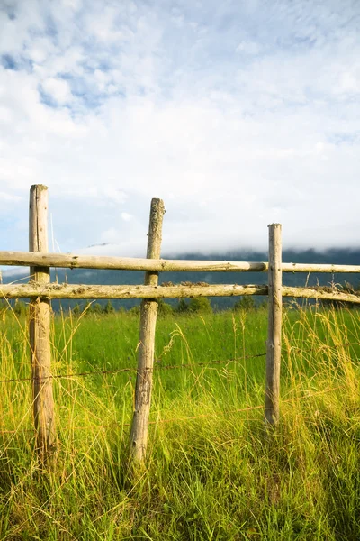 Kleine houten hek — Stockfoto