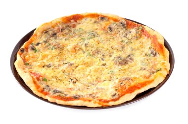 farklı tipteki peynir pizza