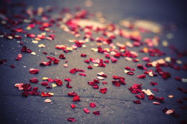 Rose petals on a pavement clipart