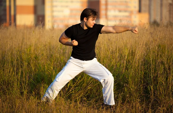 Fiatal sportos férfi harcművészeti képzés — Stock Fotó