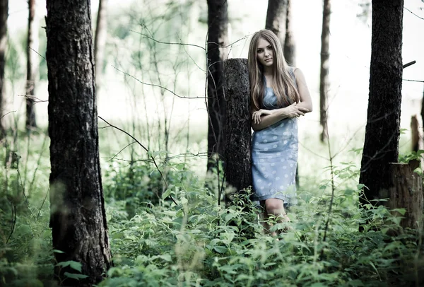 Jovem mulher em uma floresta — Fotografia de Stock