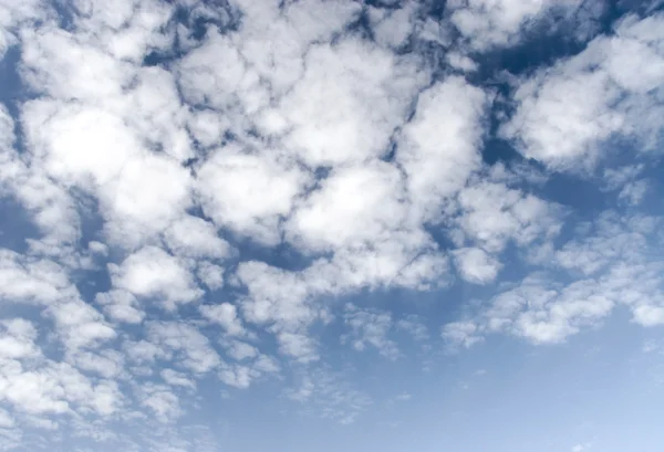 Contrast fleecy clouds — Stock Photo, Image