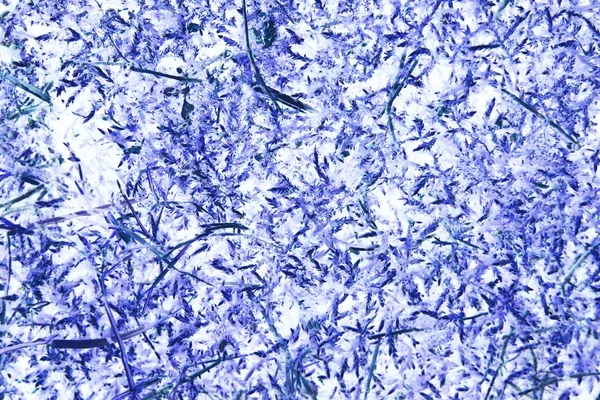 Textura fibrosa abstrata azul — Fotografia de Stock