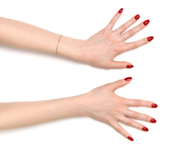 Two wide open woman hands clipart