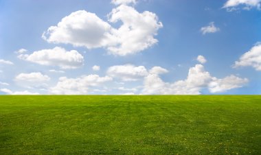 Green grass and blue sky clipart