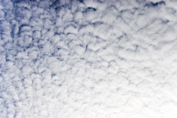 Щільні шерстістий хмари — стокове фото