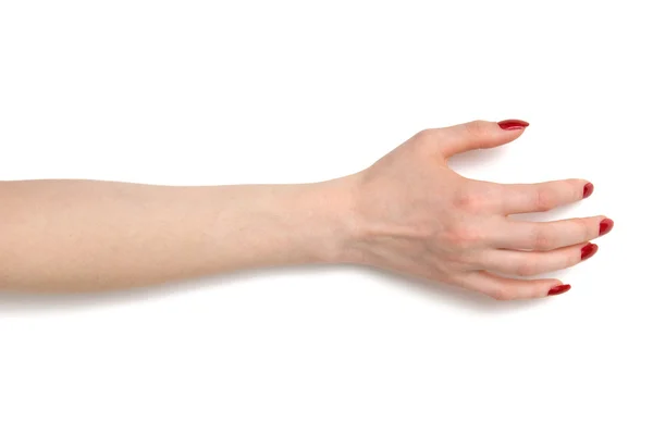 Жінка беручи руку — стокове фото