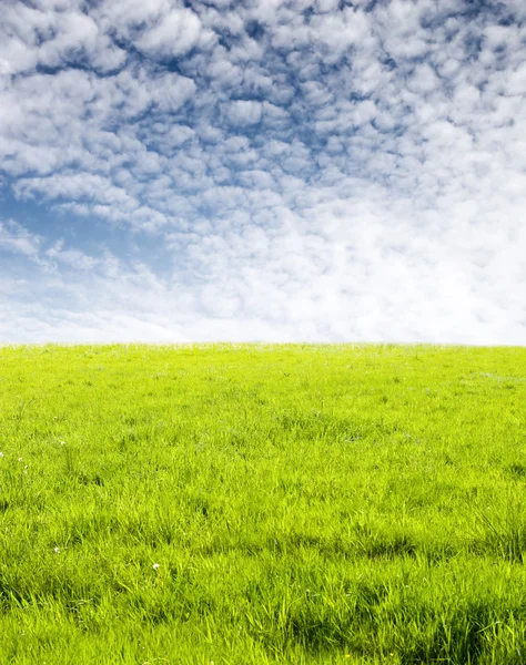 Grama verde e nuvens de lã — Fotografia de Stock