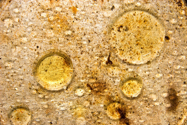 Жировая текстура
