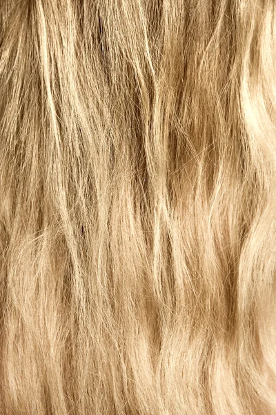Kvinna blond och goldish hår — Stockfoto