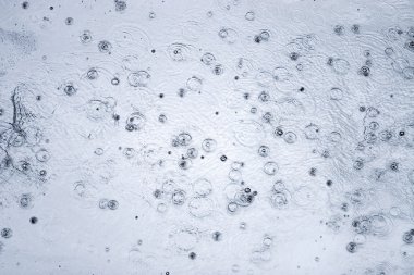 Rain drops on a water clipart