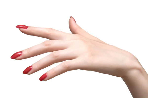 Elegantní ženská ruka — Stock fotografie
