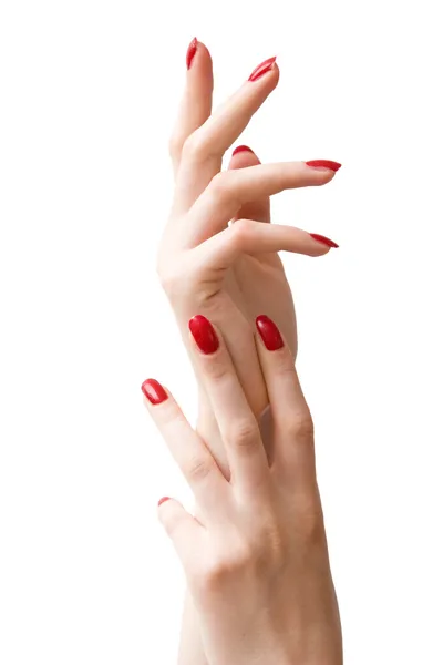 Two woman hands — Stock Photo, Image