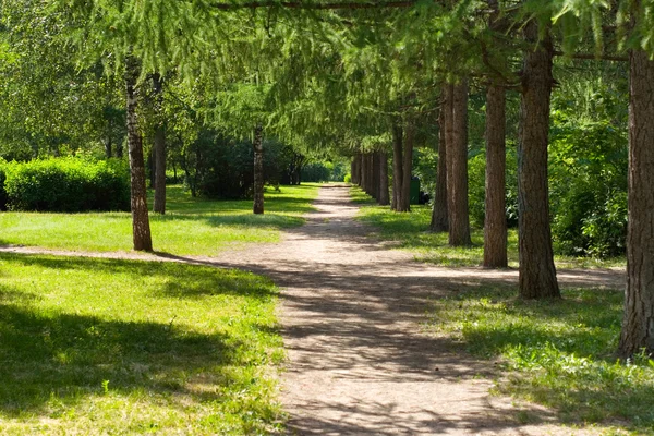 Piccolo sentiero in un parco — Foto Stock