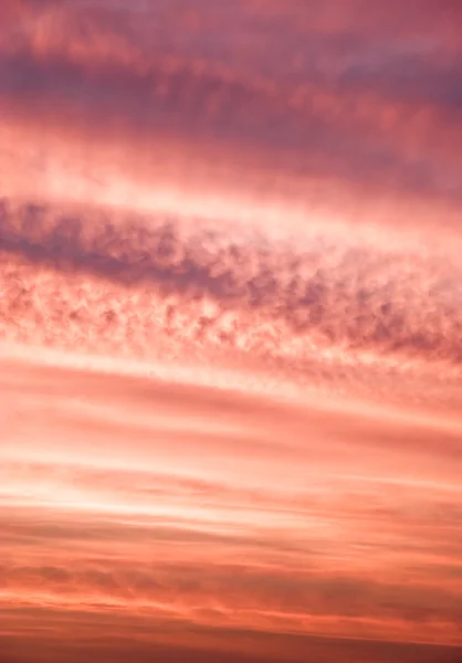Manhã rosa nuvens nascer do sol — Fotografia de Stock