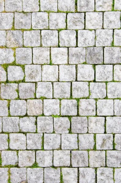 Pavimento de pedra com grama verde — Fotografia de Stock