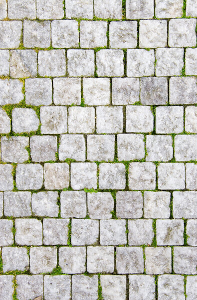 Stone pavement with green grass