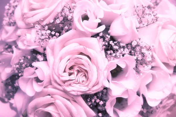 Bando de rosas — Fotografia de Stock
