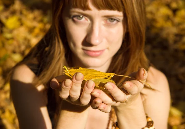 Девушка держит красные осенние листья — стоковое фото