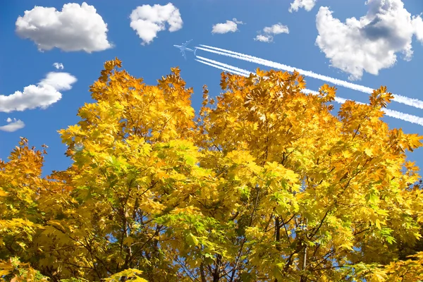 Sonbahar yaprakları ve uçak — Stok fotoğraf