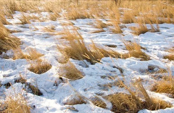 Campo rurale con neve — Foto Stock