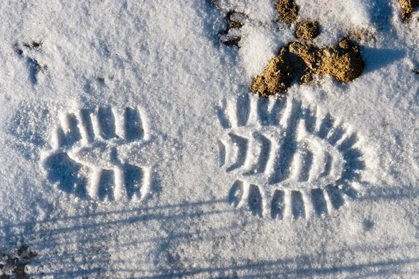 在雪上唯一足迹 — 图库照片