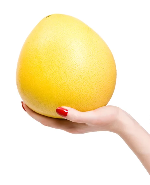 Mão de mulher com citrinos tropicais — Fotografia de Stock