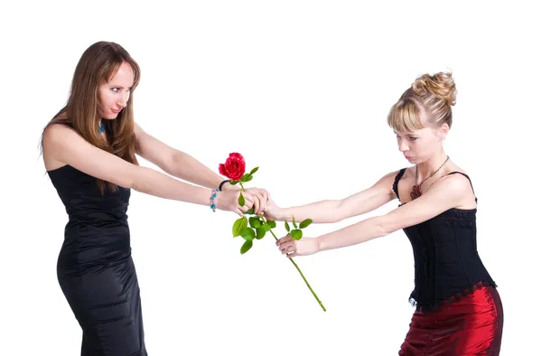 Δύο γυναίκες που αγωνίζονται για ένα τριαντάφυλλο — Φωτογραφία Αρχείου