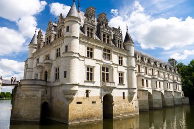 Chenonceaux castle on water clipart